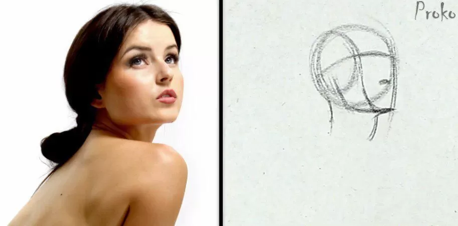 Proko付费课程 人体【画质高清中文字幕】 Proko付费课程 人体【画质高清中文字幕】